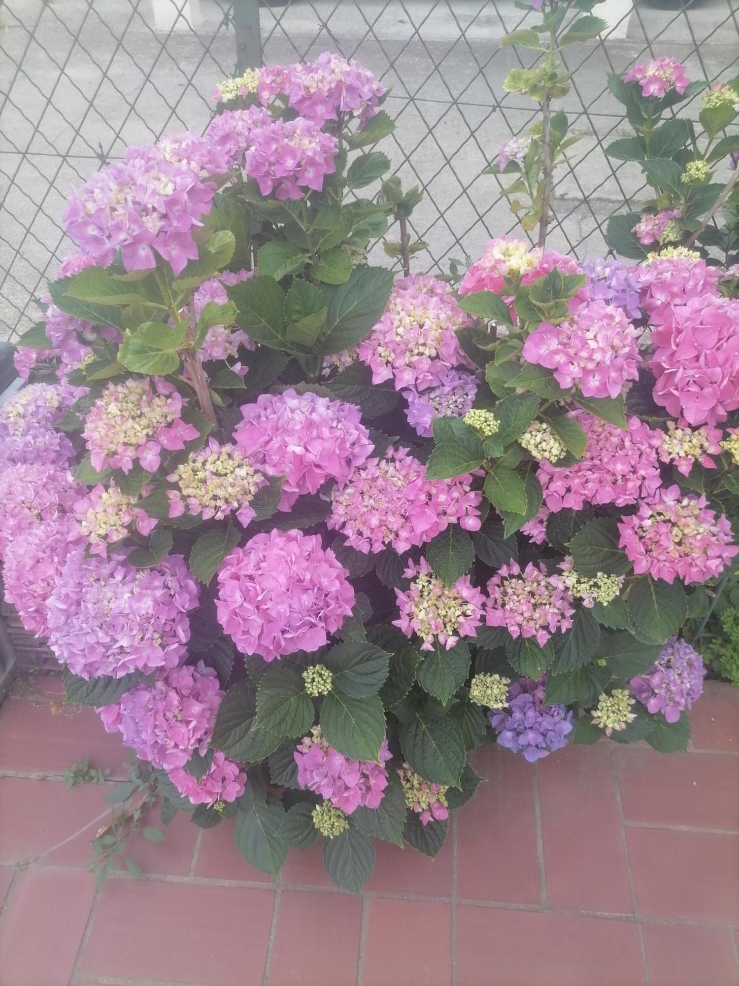 Maison Du Soleil Prades  Ngoại thất bức ảnh