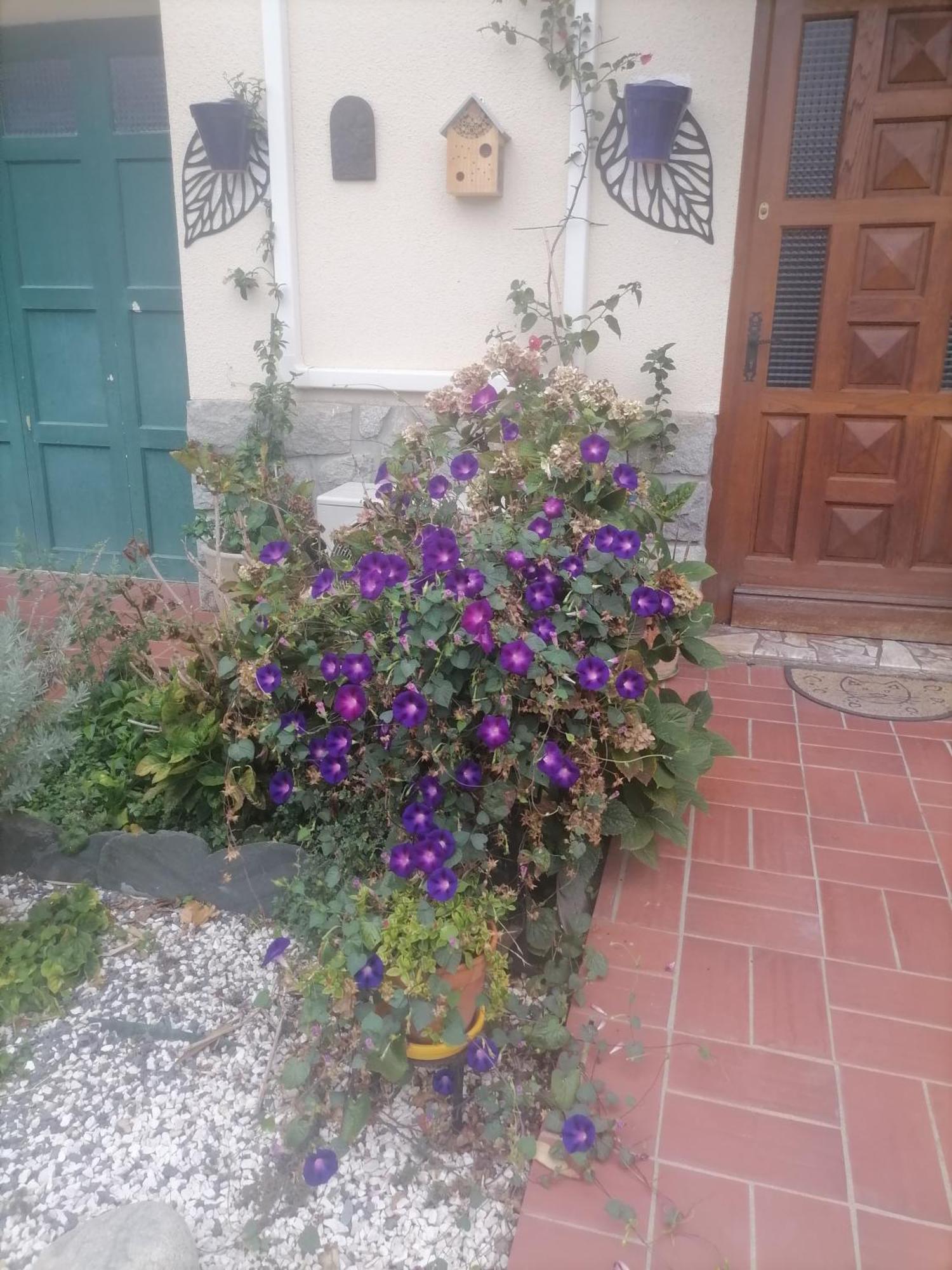 Maison Du Soleil Prades  Ngoại thất bức ảnh